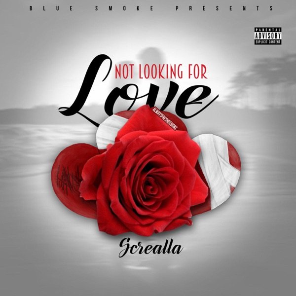 Not Looking for Love official artwork