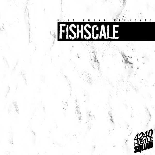 FishScale official artwork