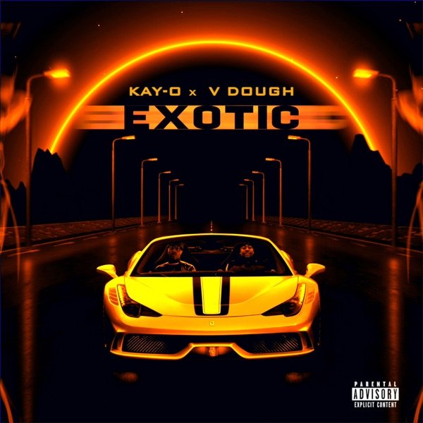 EXOTIC (feat. V Dough) official artwork